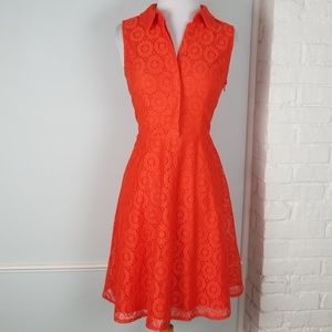 NWT NY&CO Orange Button Up Lace Dress